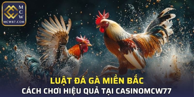Luật Đá Gà Miền Bắc