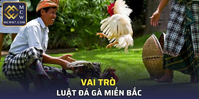 Vai trò của luật đá gà miền Bắc